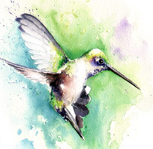 525x512 Black Chinned Hummingbird Watercolor Print Watercolor Animal - Hummingbird Art Watercolor