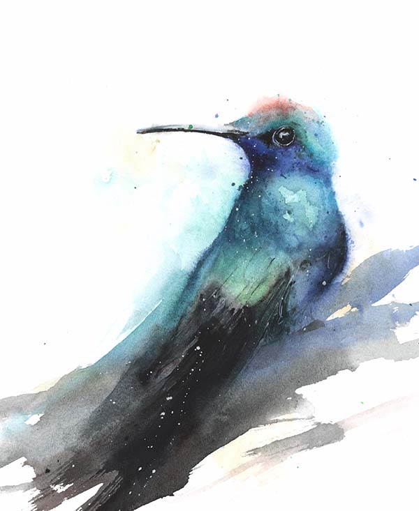600x733 Blue Chested Sapphire Hummingbird Watercolor Print Watercolor - Hummingbird Art Watercolor