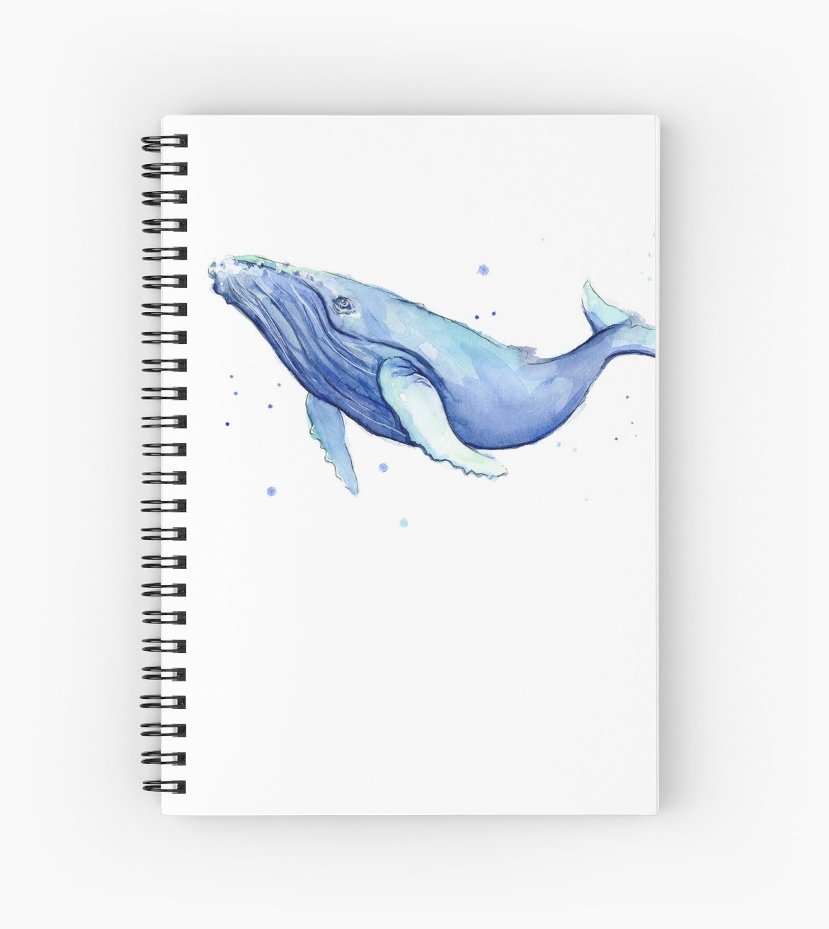 Humpback Whale Watercolor at PaintingValley.com | Explore collection of ...