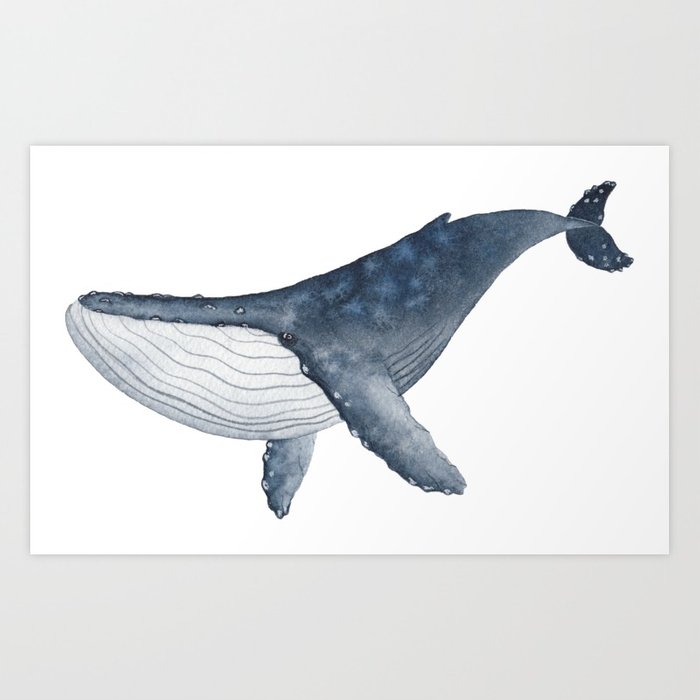 700x700 Humpback Whale Watercolor Art Print By Sj Artworks Society6 - Humpback Whale Watercolor