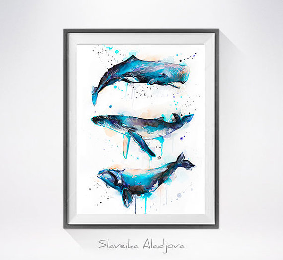 570x525 Humpback Whale Watercolor Painting Print - Humpback Whale Watercolor