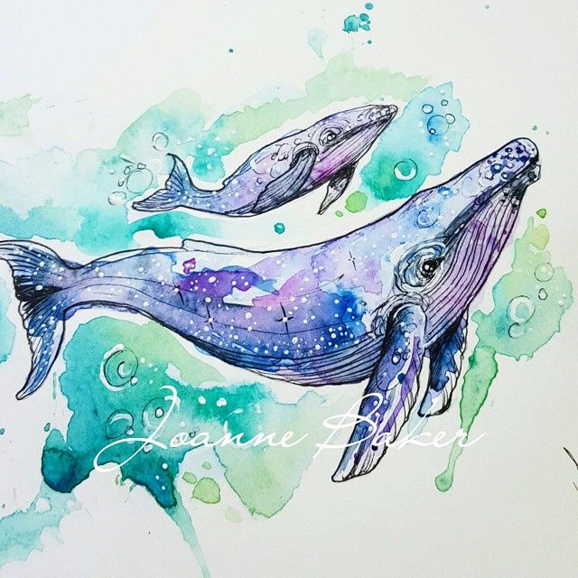 640x640 Humpback Whales For Isabelle By Joanne Baker Art Stuff - Humpback Whale Watercolor