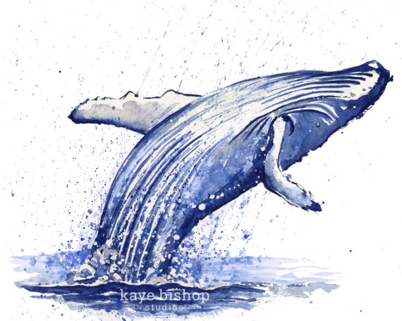 Humpback Whale Watercolor At PaintingValley.com | Explore Collection Of ...