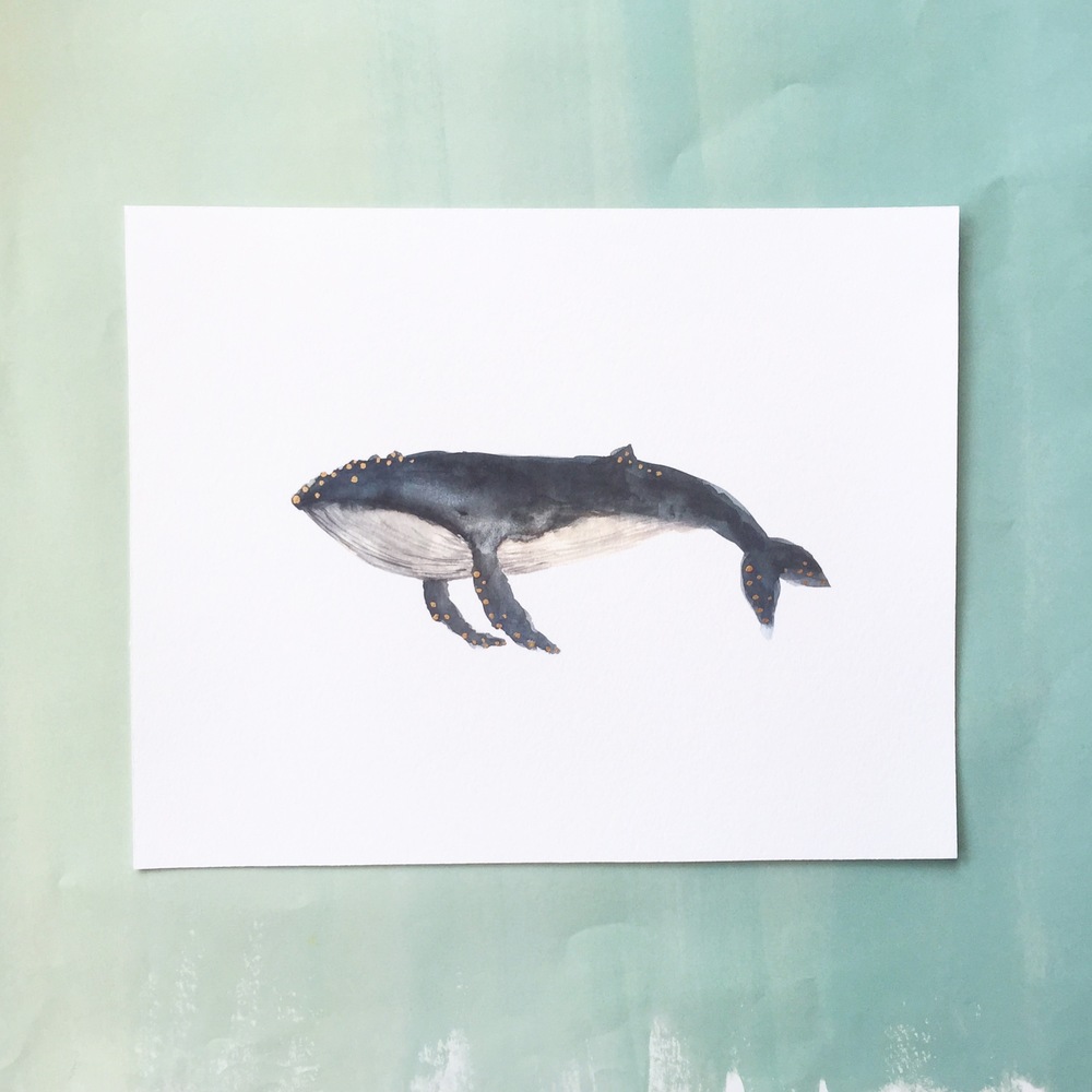 1000x1000 Watercolor Humpback Whale With Hand Painted Gold Foil Accents - Humpback Whale Watercolor