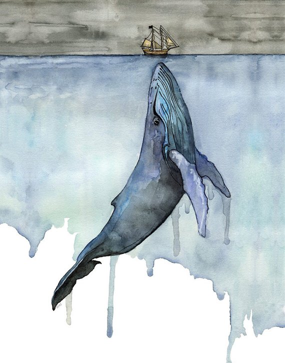 570x726 Whale Painting Watercolor Painting Whale Print Whale And Etsy - Humpback Whale Watercolor
