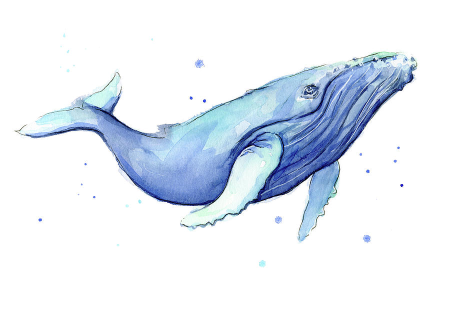 900x642 Whale Watercolor Humpback Painting By Olga Shvartsur - Humpback Whale Watercolor