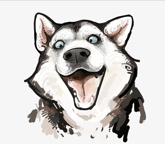 564x493 Husky Watercolor, Watercolor Clipart, Husky Illustration, Animal - Husky Watercolor