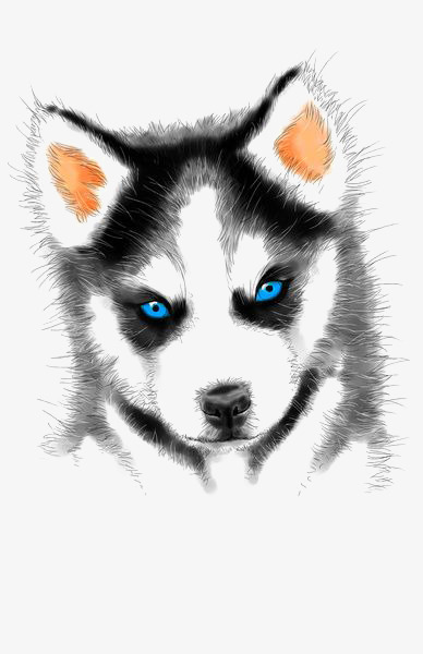 388x600 Husky Watercolor, Watercolor Clipart, Husky Ink, Husky - Husky Watercolor