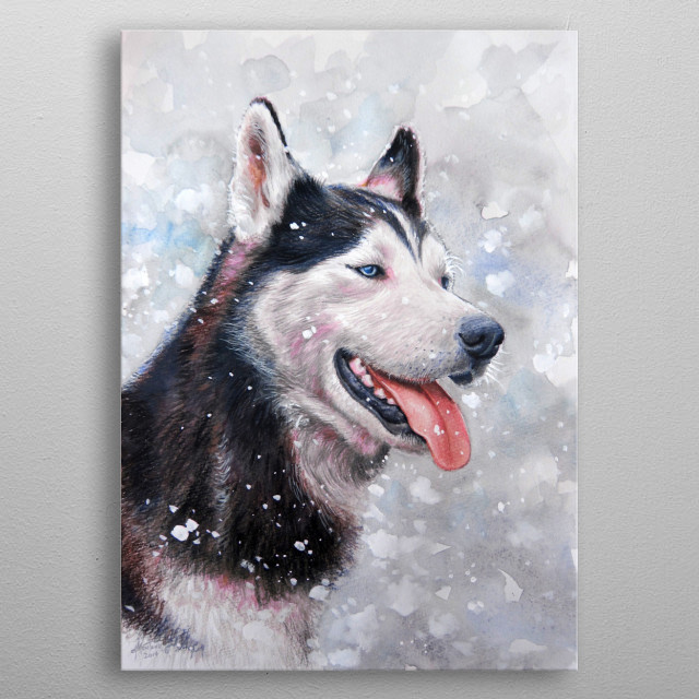 640x640 Husky Watercolor Pencil And... By Dado Montano Metal Posters - Husky Watercolor