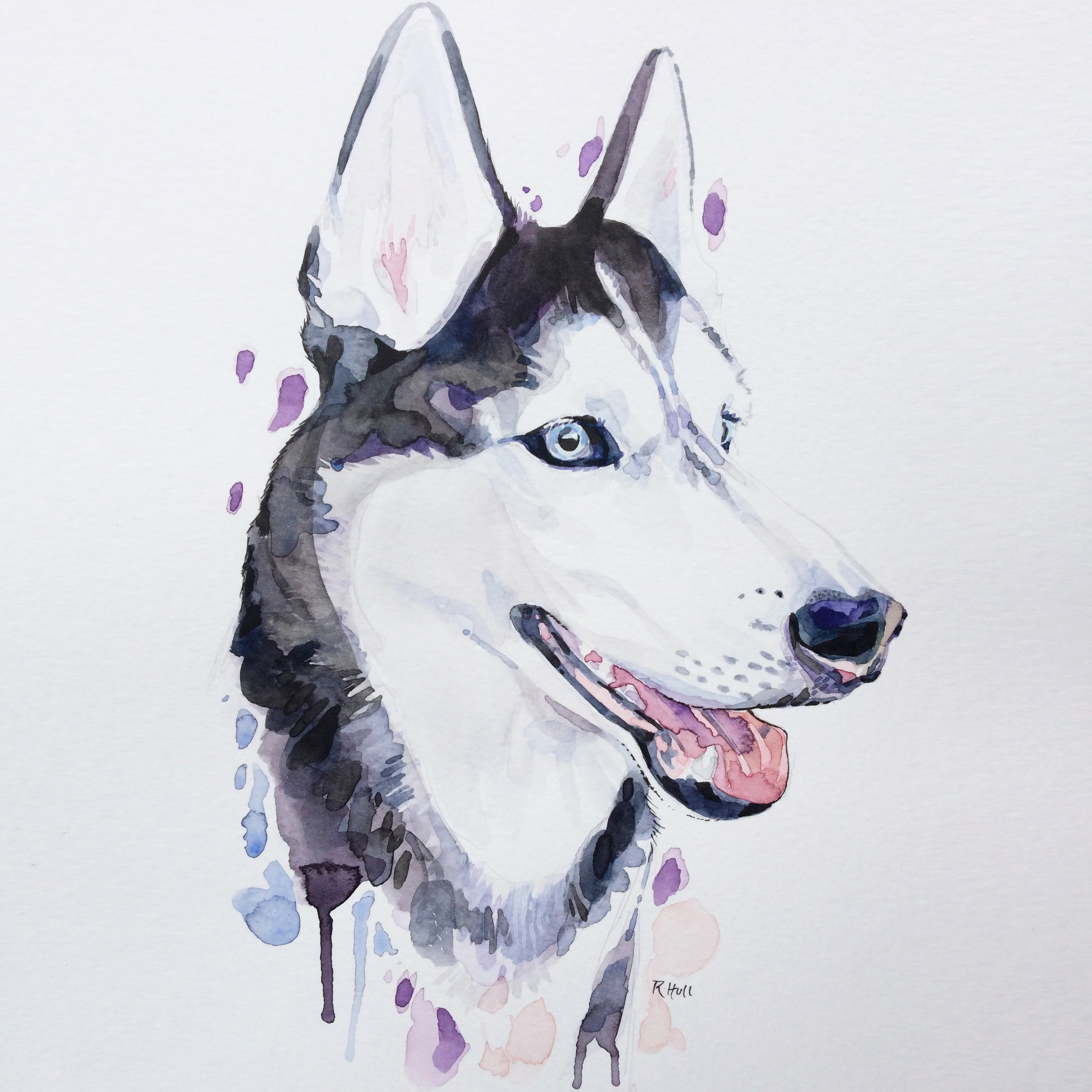 2952x2952 Siberian Husky, Watercolour, 12 X 9in - Husky Watercolor