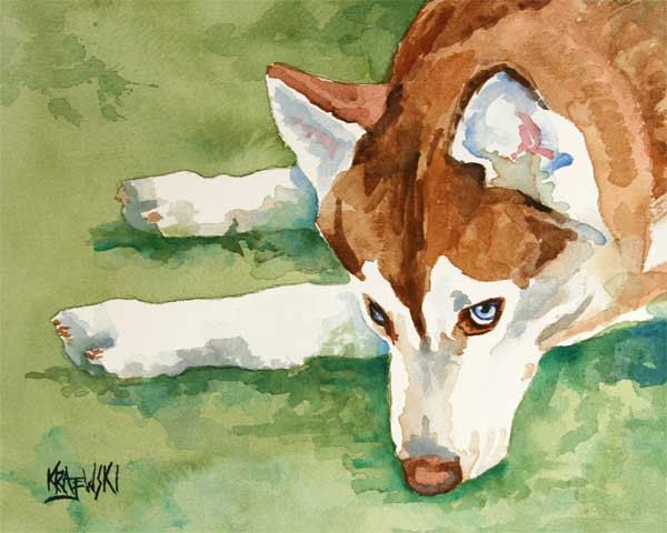 600x480 Siberian Husky Art Print Of Original Watercolor Painting - Husky Watercolor