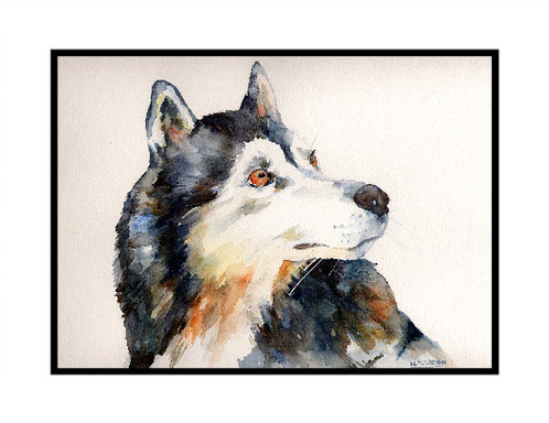 498x384 Siberian Husky Watercolor Note Cards - Husky Watercolor
