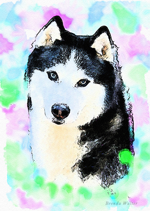 300x422 Siberian Husky Watercolor - Husky Watercolor