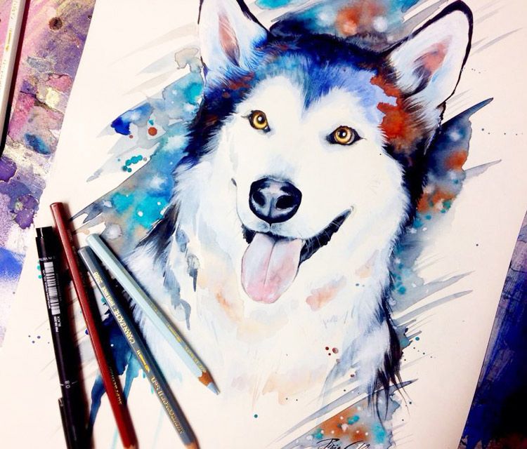 750x640 Siberian Husky Watercolor Painting By Pixie Cold Art - Husky Watercolor