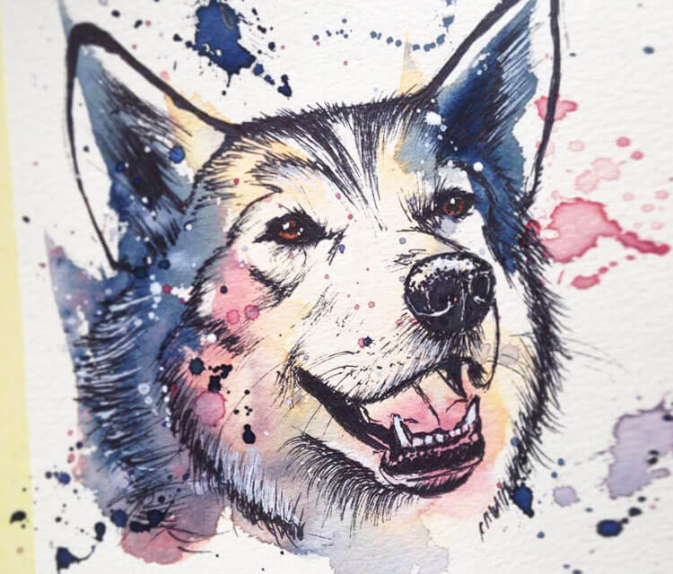750x640 Siberian Husky Watercolor Painting By Tori Ratcliffe Art No. 2256 - Husky Watercolor