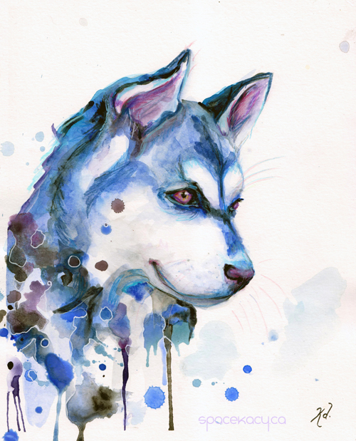 500x619 Watercolour Husky Painting - Husky Watercolor