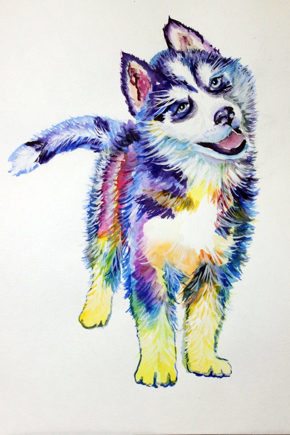 570x855 Husky Dog Canvas Print Puppy Siberian Husky Watercolor Etsy - Husky Watercolor