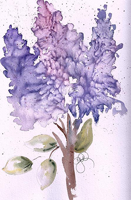 445x679 Hyacinth In Purple Blank Note Cards 6 Blank Artistic - Hyacinth Watercolor