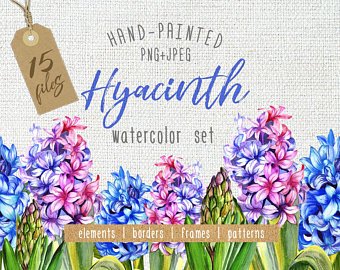 340x270 Hyacinth Watercolor Etsy - Hyacinth Watercolor