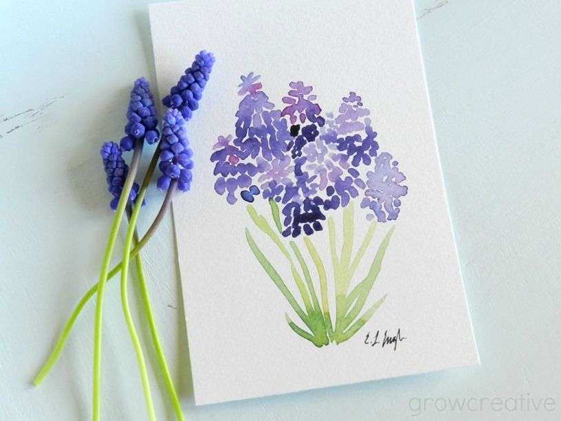 816x612 Original Watercolor Painting Of Purple Grape Hyacinth Flowers By - Hyacinth Watercolor