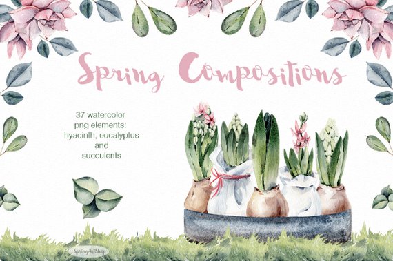 570x379 Spring Watercolor Composition Hyacinth Watercolor Succulent Etsy - Hyacinth Watercolor