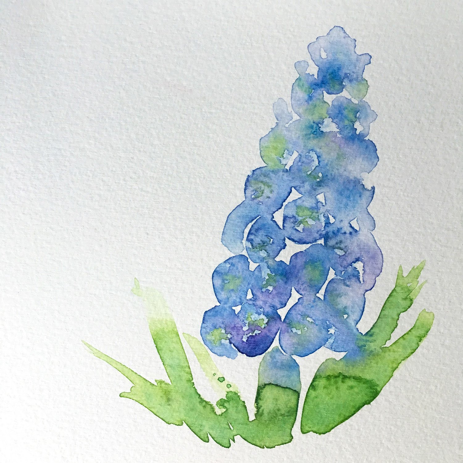 1500x1500 Watercolor Painting Grape Hyacinth - Hyacinth Watercolor