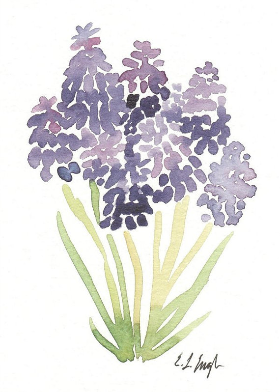 570x798 Watercolor Flowers, Floral Print, Purple Flowers, Watercolor Print - Hyacinth Watercolor