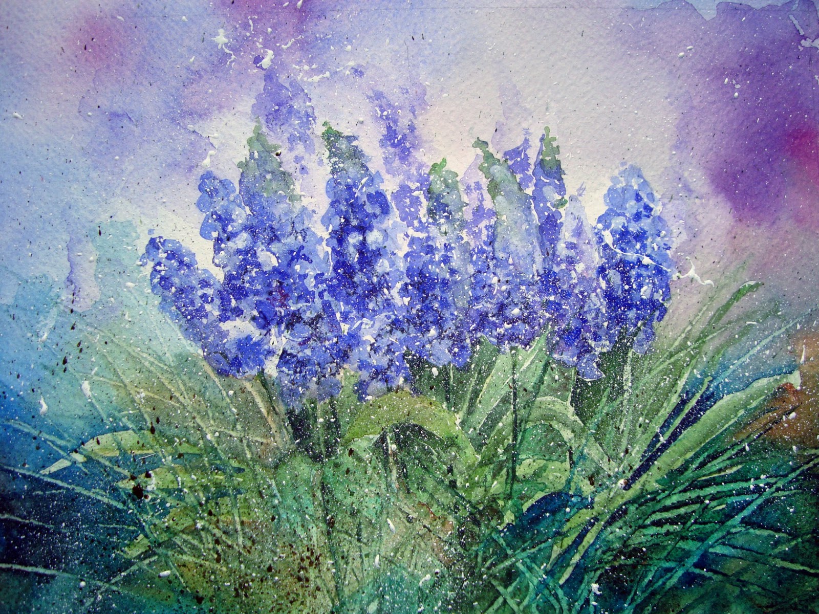 1600x1200 Watercolour Florals Grape Hyacinths - Hyacinth Watercolor
