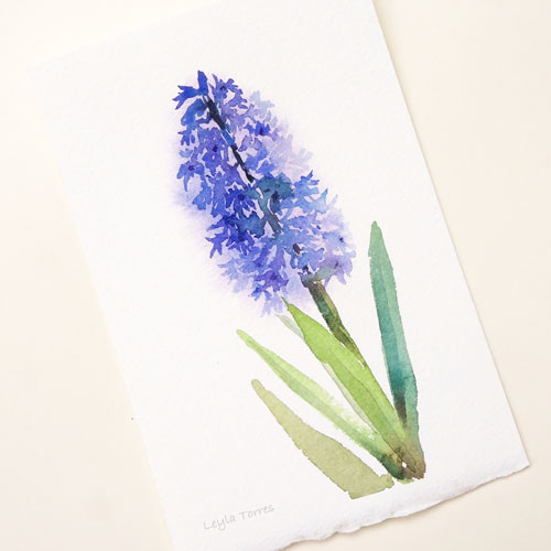 500x500 What You Can Learn From Painting Watercolor Flowers - Hyacinth Watercolor