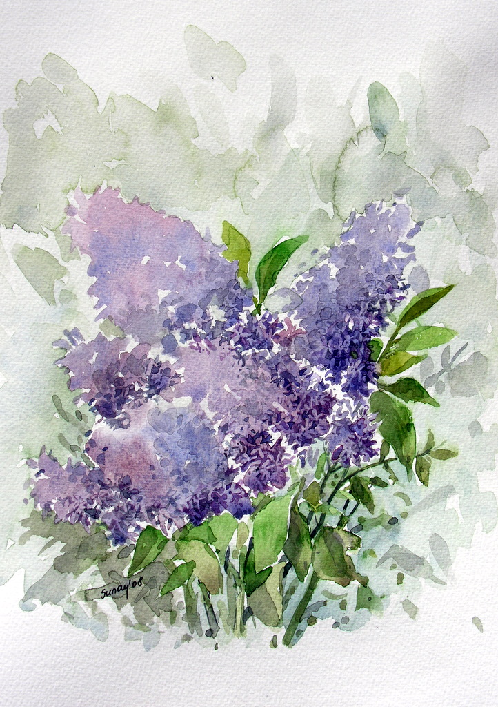 722x1024 Watercolor Lilac By Sunaysenturk - Hyacinth Watercolor