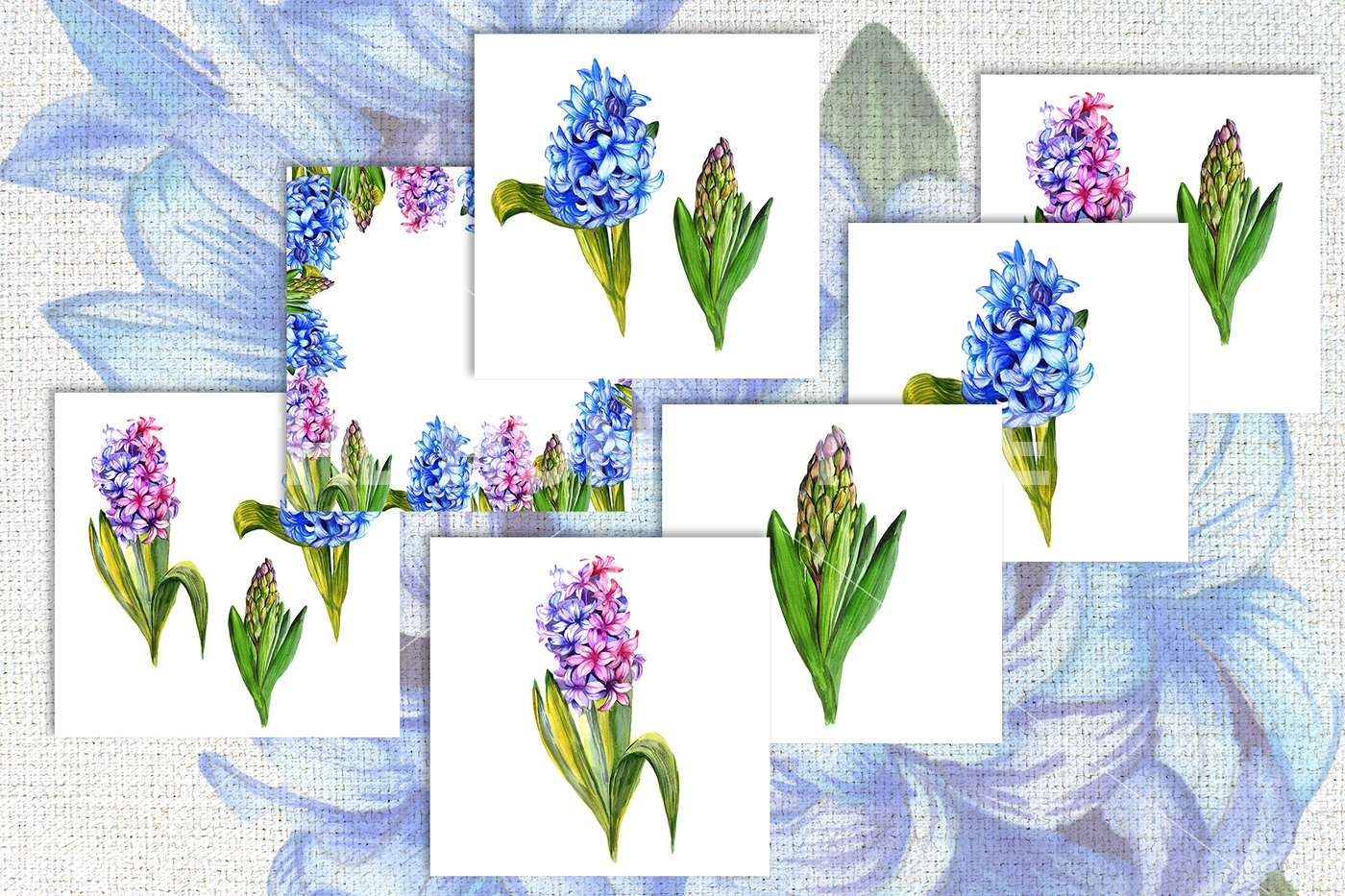 1400x933 Colorful Hyacinth Png Watercolor Set By Mystocks - Hyacinth Watercolor