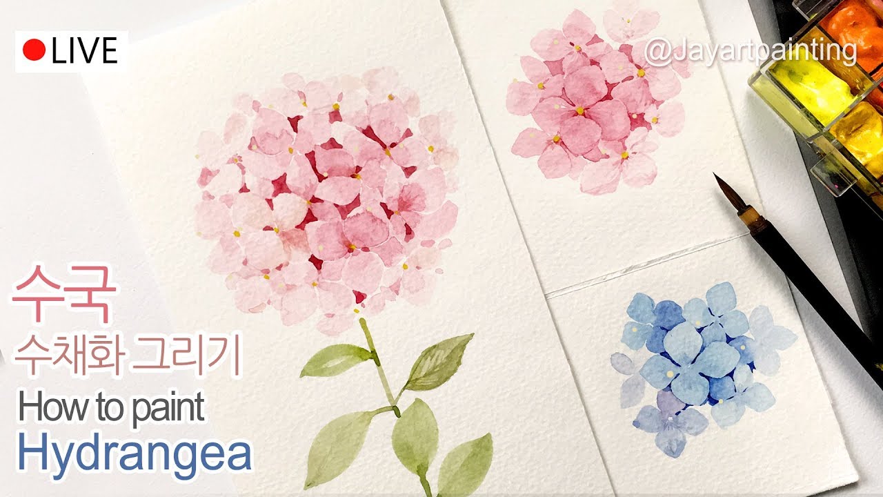 1280x720 How To Paint Hydrangeas In Watercolor - Hydrangea Watercolor