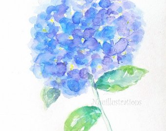 340x270 Hydrangea Watercolor Painting Original 4 X 6 Lime Green - Hydrangea Watercolor