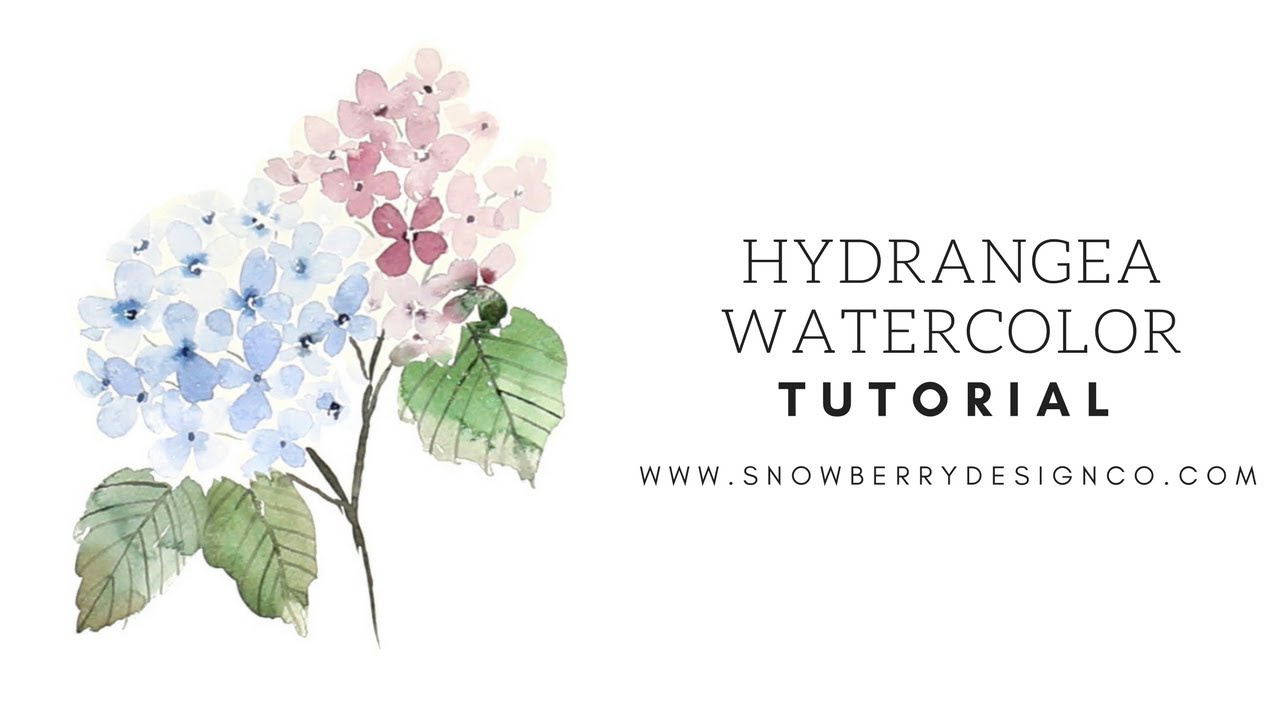1280x720 Beginner Tutorial How To Paint Watercolor Hydrangea - Hydrangea Watercolor
