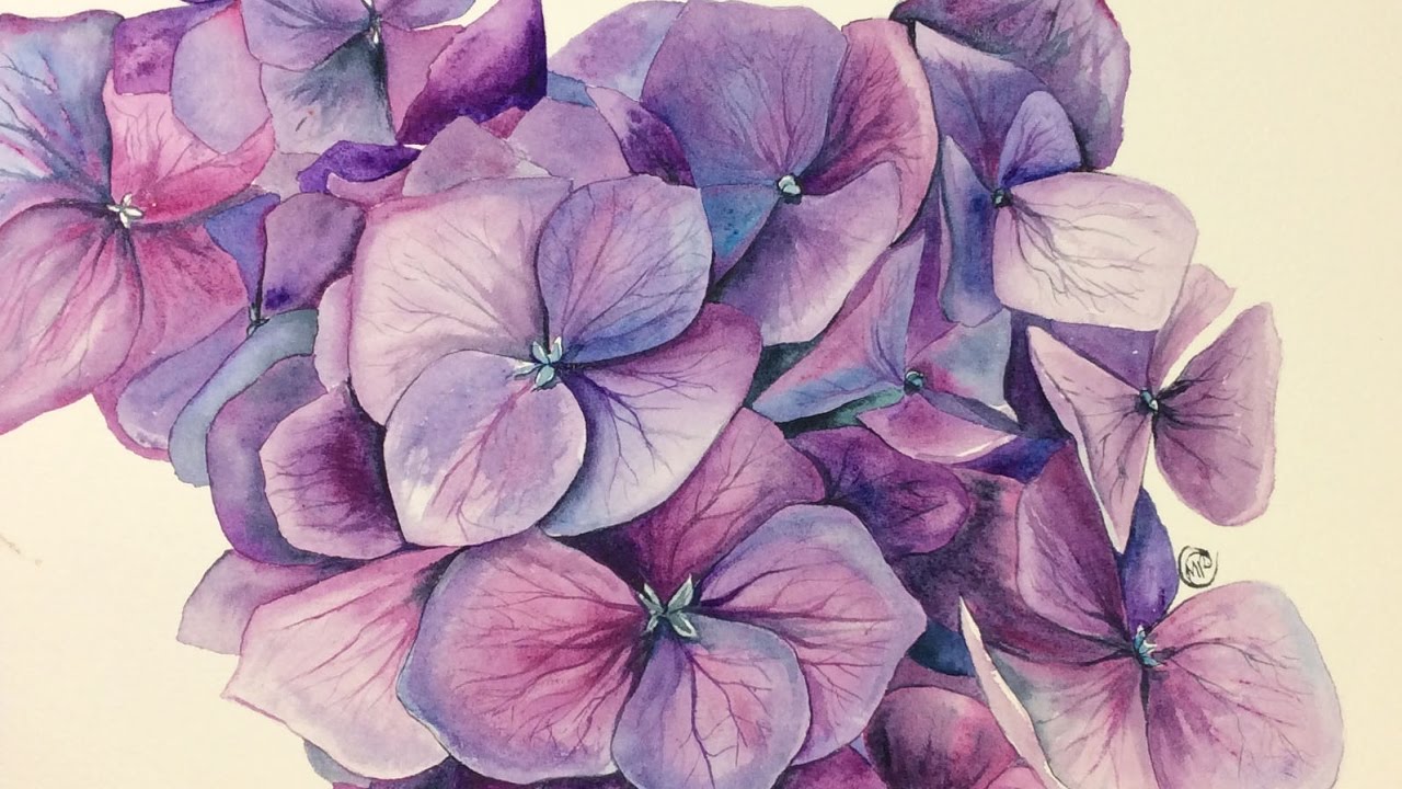 1280x720 Watercolor Hydrangeas On Cold Pressed Painting Demonstration - Hydrangea Watercolor