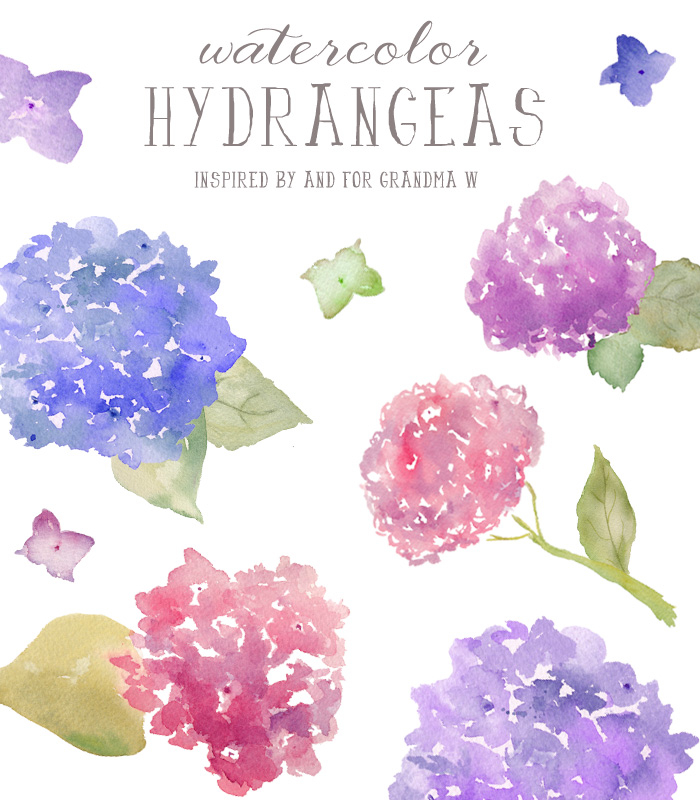 700x800 Watercolor Hydrangeas - Hydrangea Watercolor