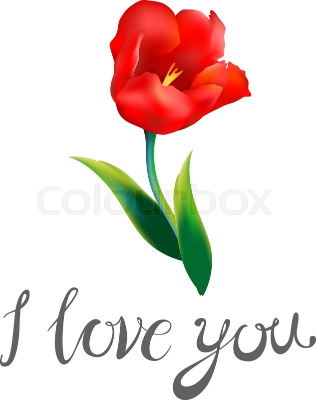 633x800 I Love You Watercolor Blue Word With Red Hearts On A White - I Love You Watercolor