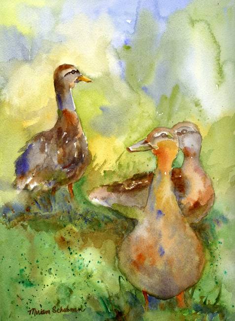 477x650 Three Ducks, Impressionist Watercolor Painting Art By Miriam Schulman - Impressionist Watercolor