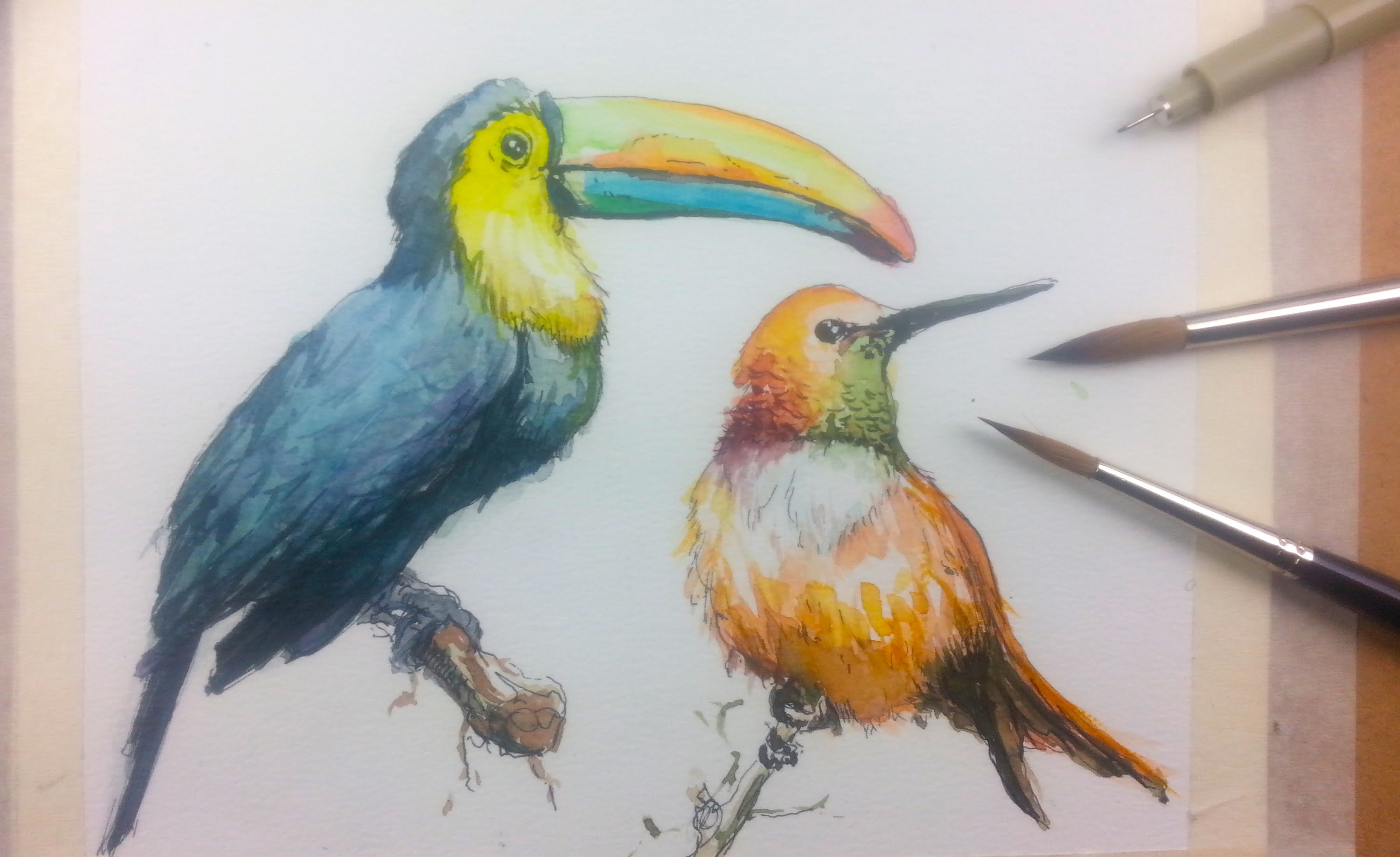 3000x1837 Drawing In Watercolor Of Birds - In Watercolor