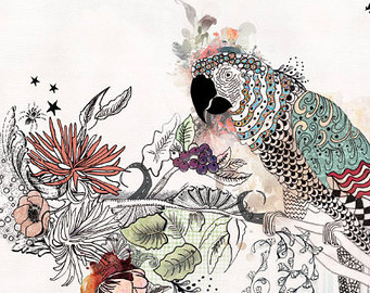 341x270 Bird Artwork Print Of Original Ink Drawing Watercolor - Ink And Watercolor Illustration