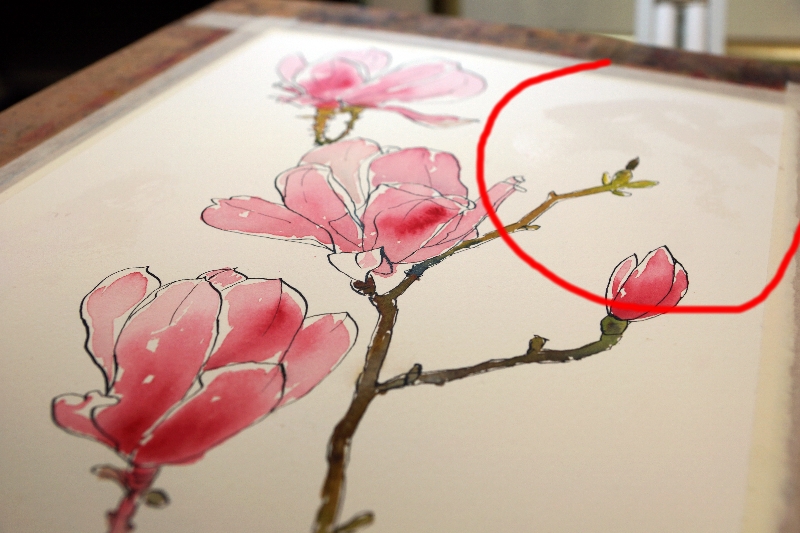 800x533 Pen And Ink Drawing With Watercolor Wash Pen And Ink Techniques - Ink Over Watercolor