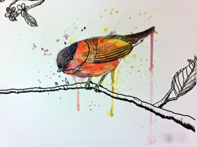 640x477 Room 101 Art Loose Watercolor And Ink Birds, Teen Camp - Ink Over Watercolor