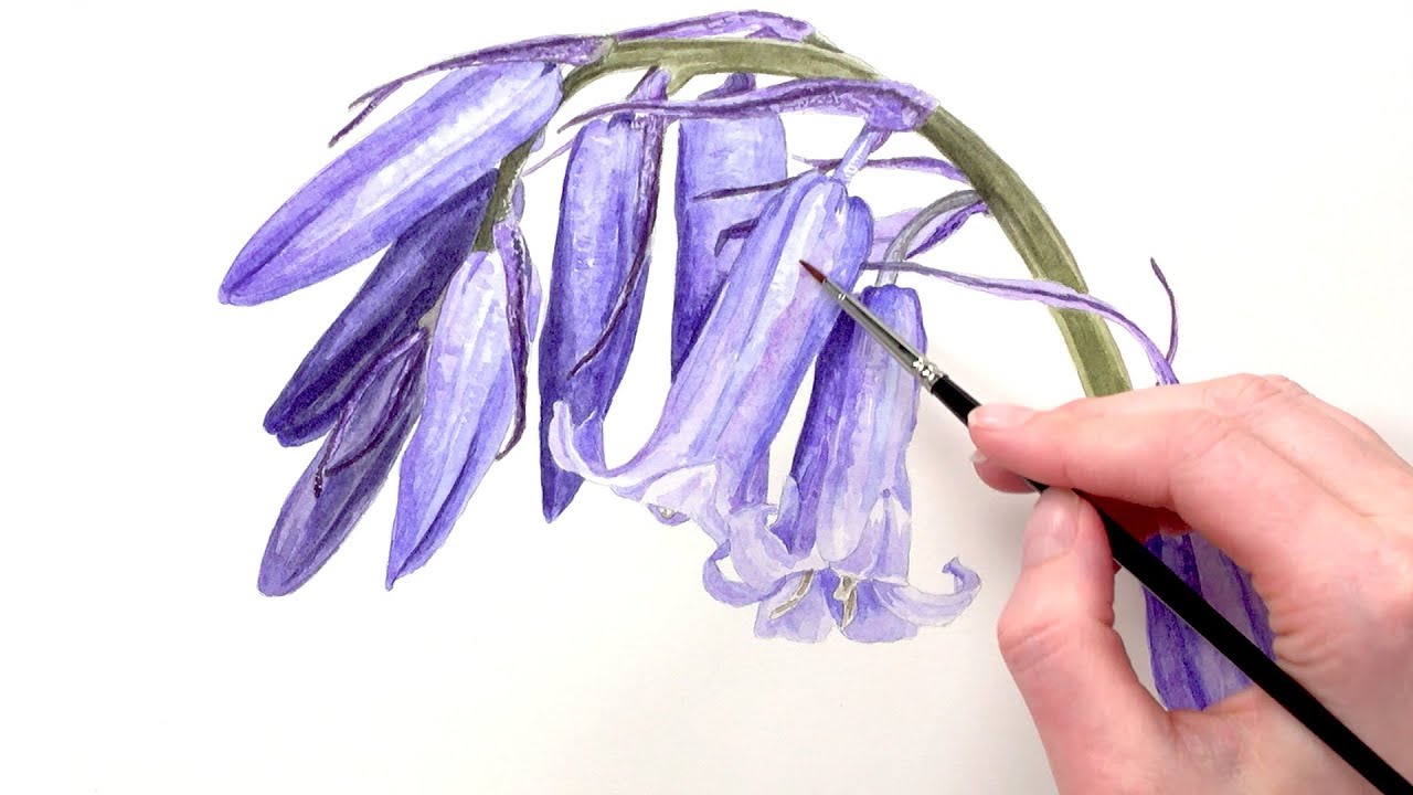 1280x720 How To Paint Iridescent Bluebells In Watercolour With Anna Mason - Iridescent Watercolor