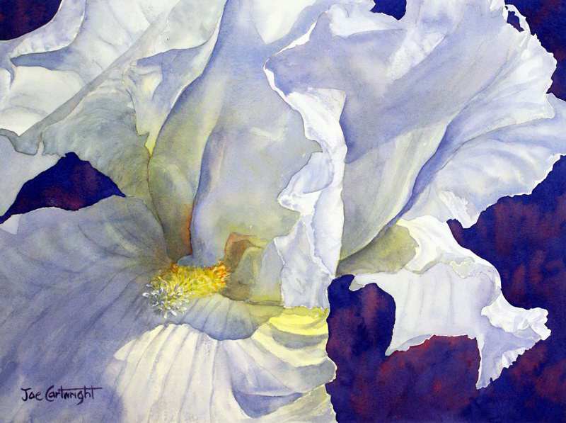 800x597 How To Paint A Flower With Watercolor White Iris Final Step - Iris Flower Watercolor