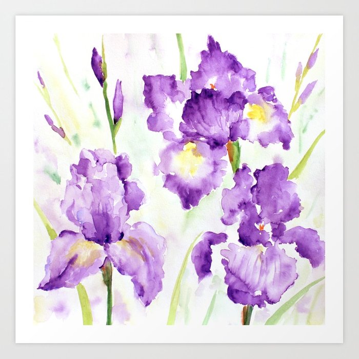 700x700 Watercolor Blue Iris Flowers Art Print By Chengjing Society6 - Iris Flower Watercolor