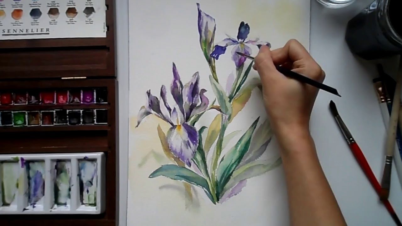 1280x720 Watercolor Iris Flower - Iris Flower Watercolor