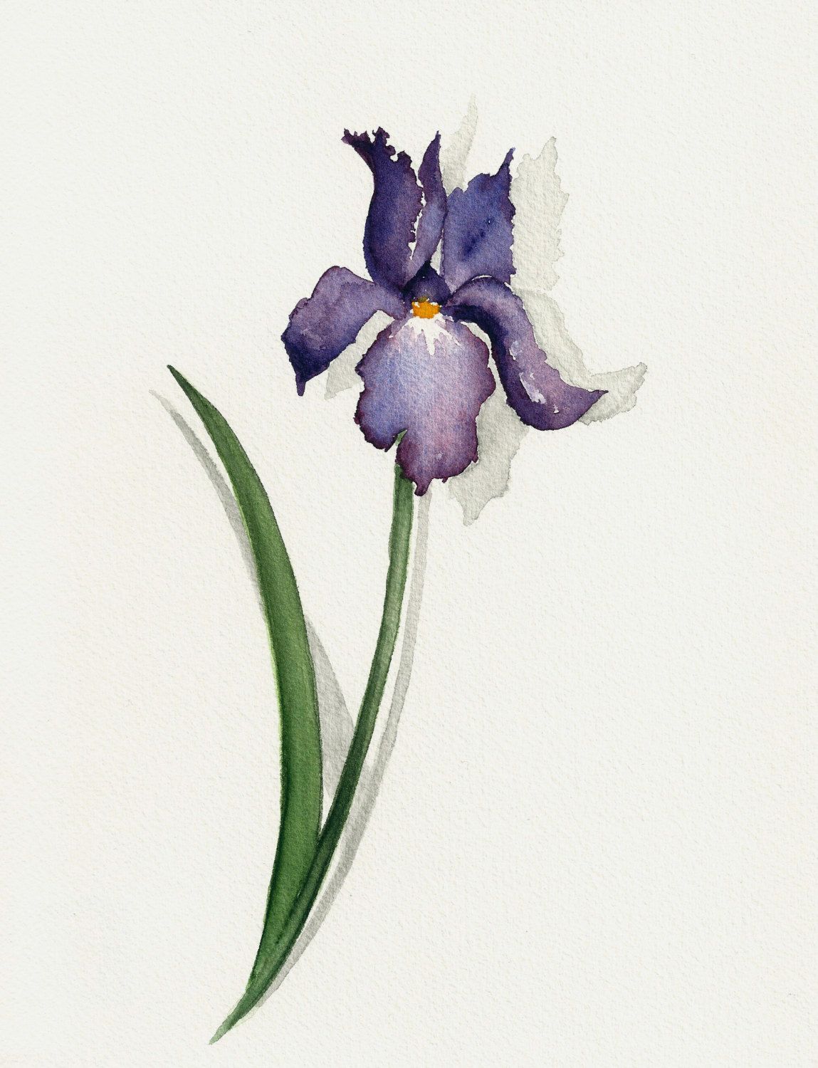 1149x1500 Iris Painting, Original Watercolor Flower Painting, Watercolour - Iris Watercolor