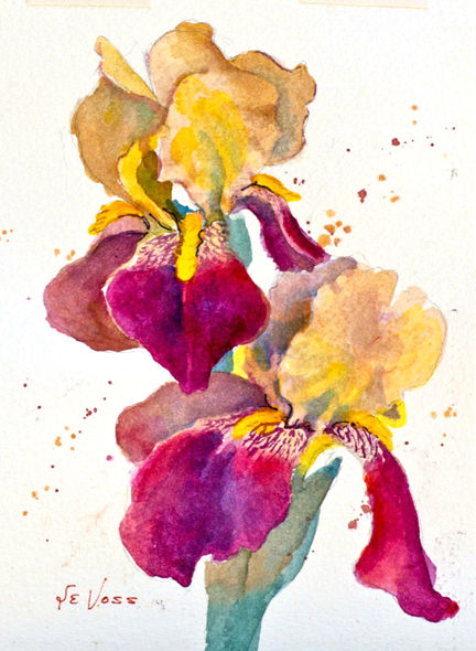 432x590 Painting Watercolor Irises With Le Voss Glade Sun Crossville - Iris Watercolor