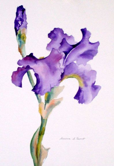 395x575 Purple Iris By Susan Ewart Art Watercolor Flowers 6 - Iris Watercolor
