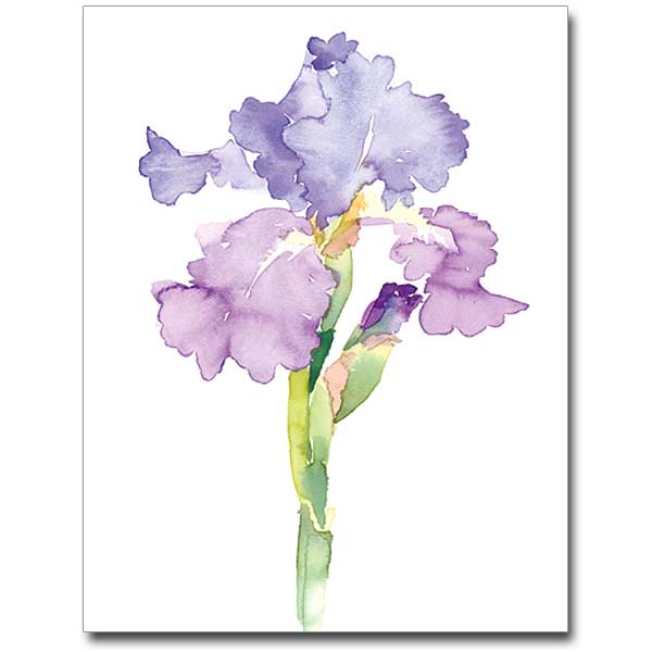 600x600 Watercolor Iris Petite Notes - Iris Watercolor